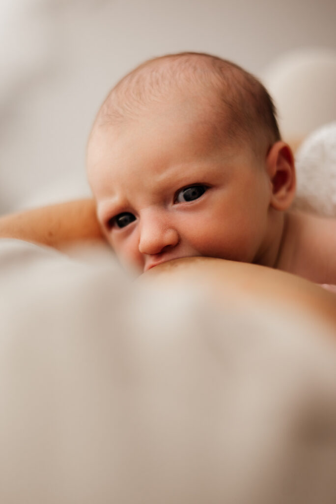 meilleur photographe loire