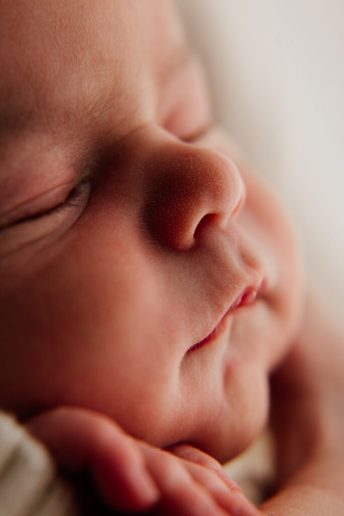 Meilleur photographe loire 42