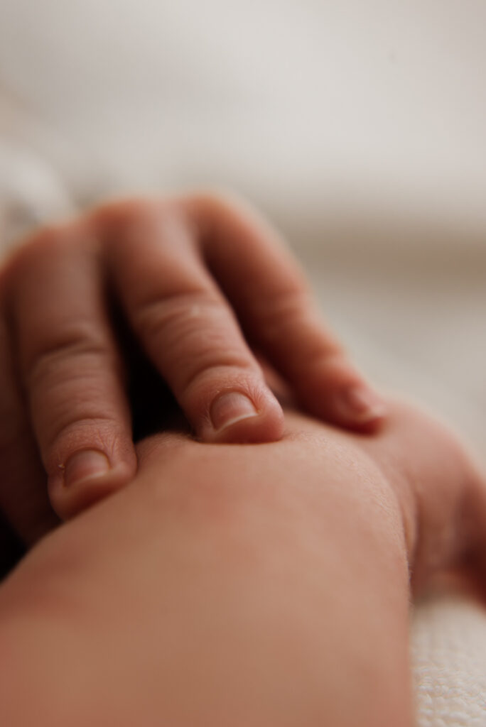 Meilleur photographe Loire 42