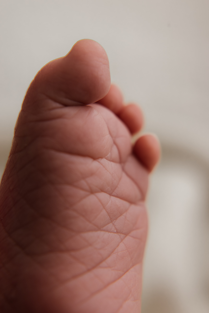 Meilleur photographe Loire 42